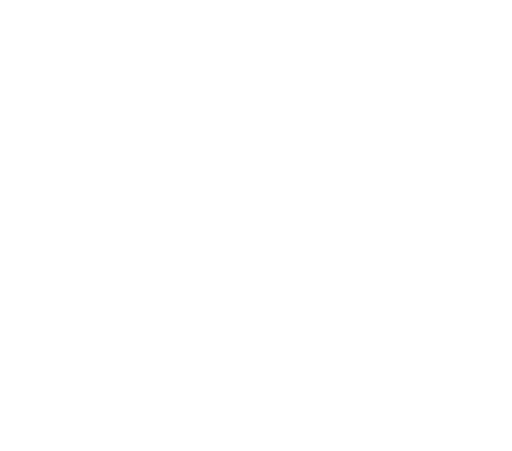 logo-fluup